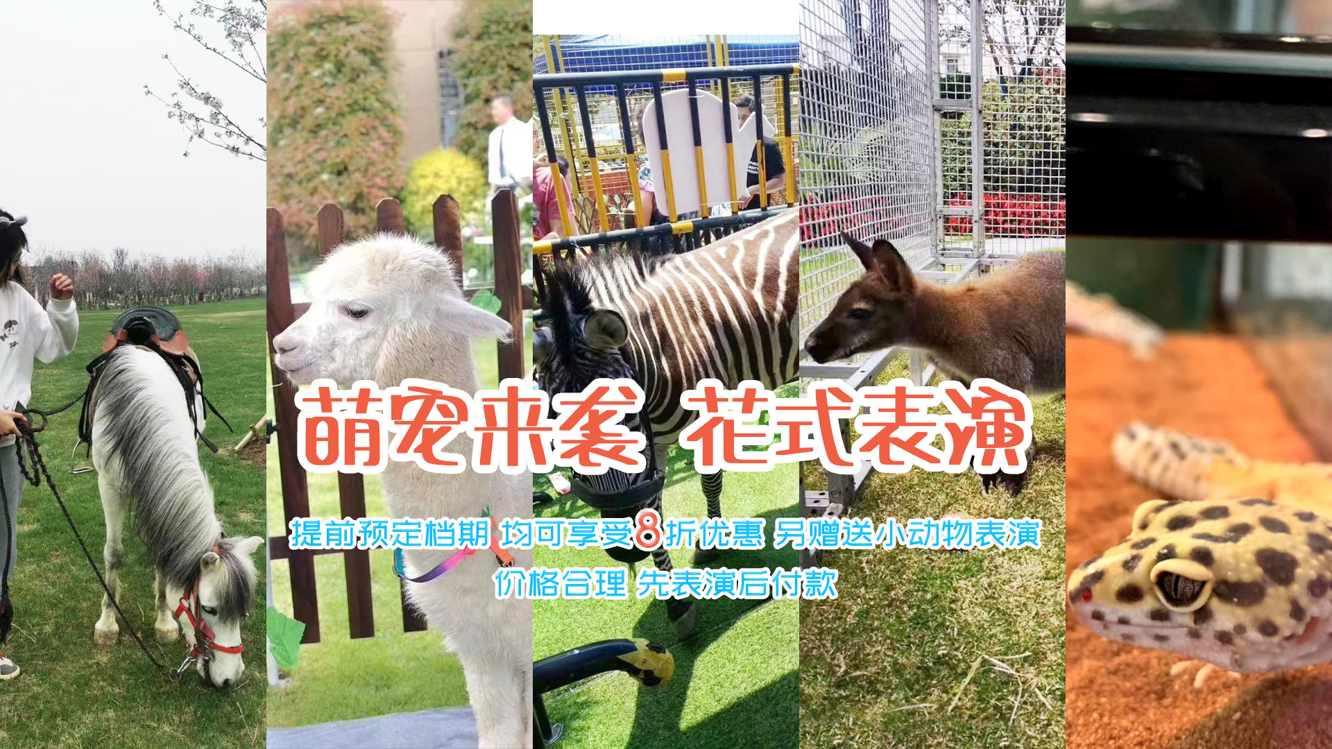 济宁东瑞珍禽养殖有限公司