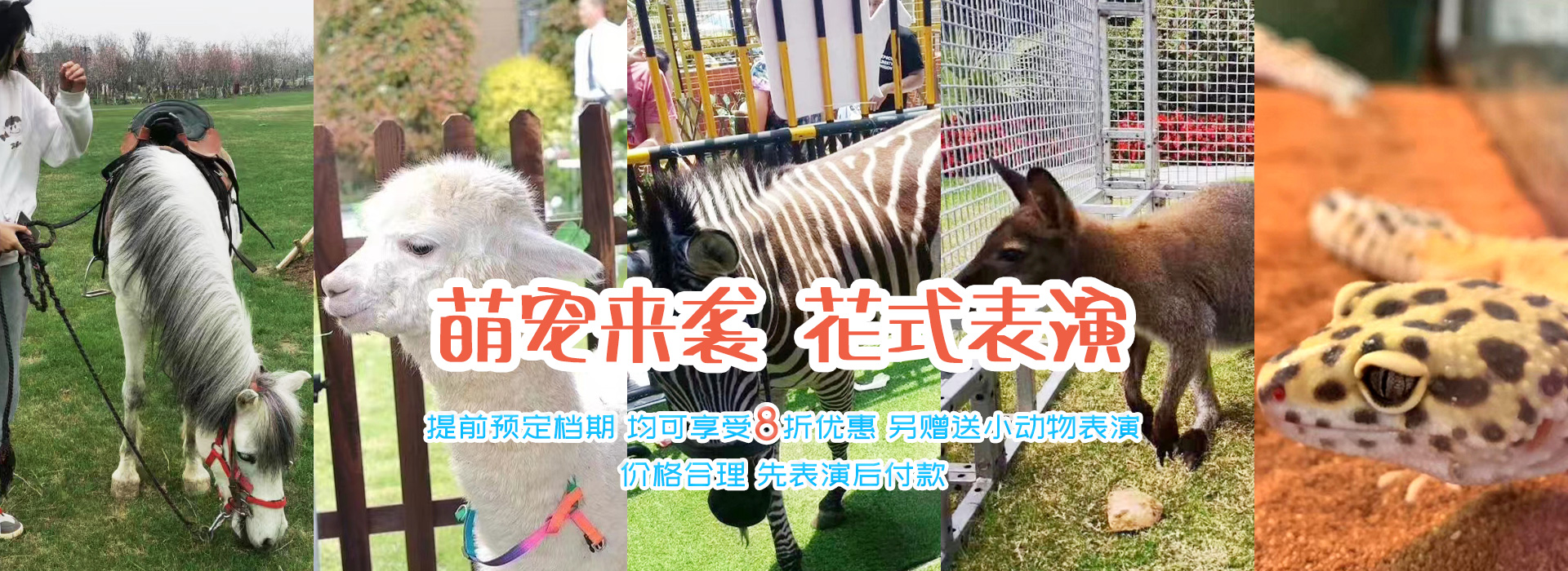 济宁东瑞珍禽养殖有限公司