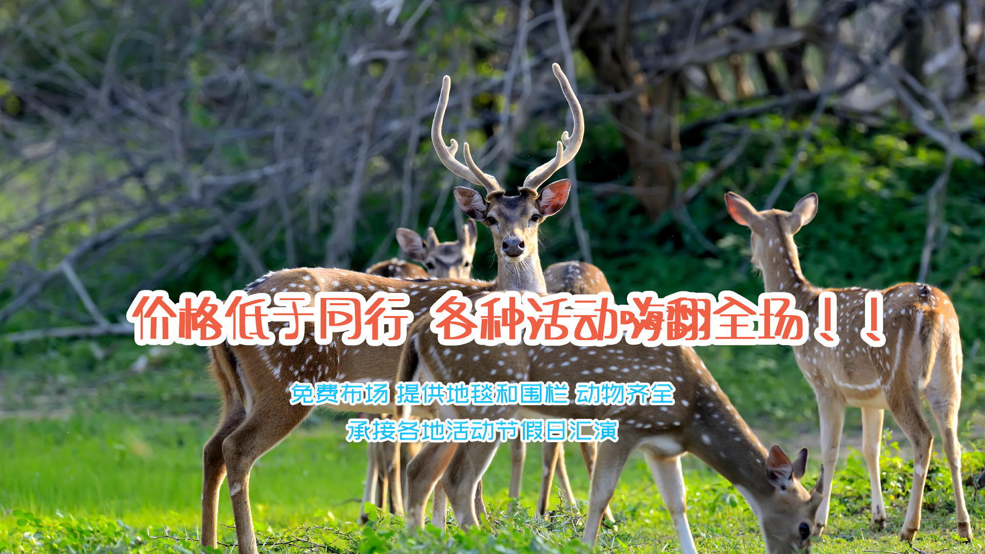 济宁东瑞珍禽养殖有限公司