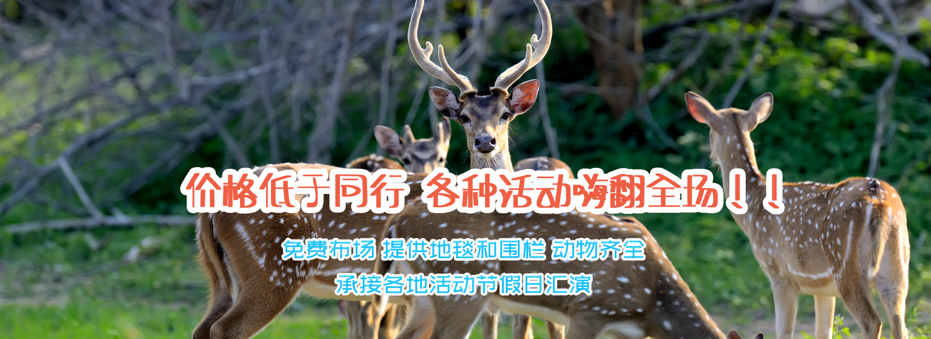 济宁东瑞珍禽养殖有限公司