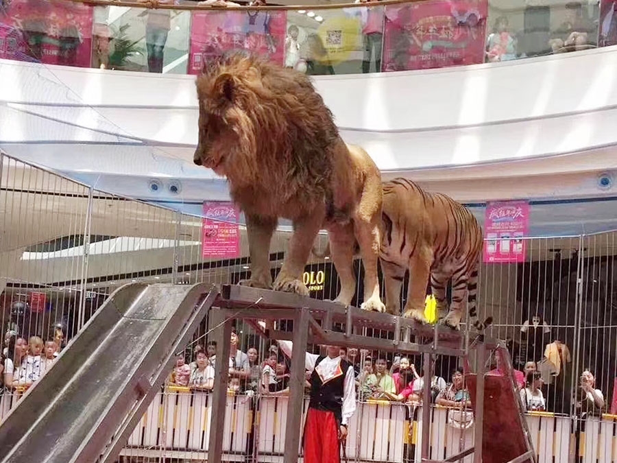 狮子表演