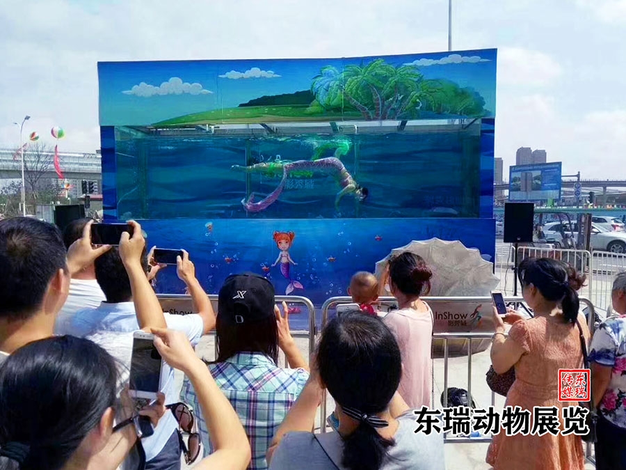 美人鱼表演