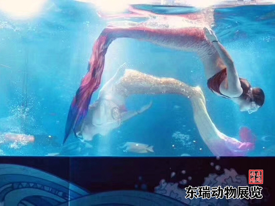 美人鱼表演