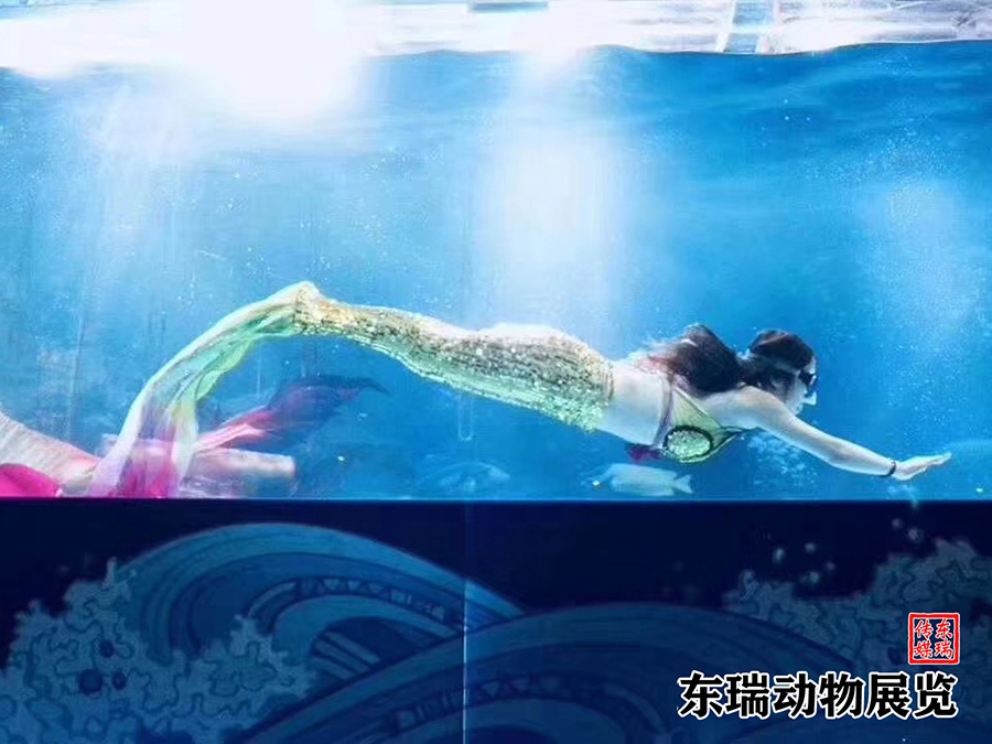 美人鱼表演