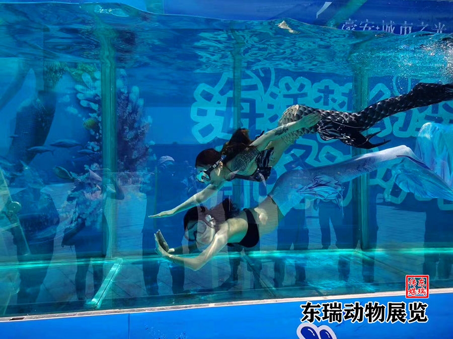 美人鱼表演