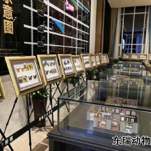 标本展示
