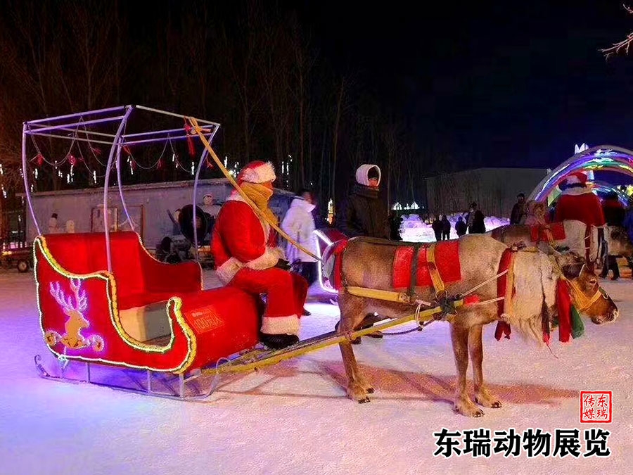 圣诞节驯鹿